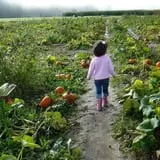 Craven Farm photo