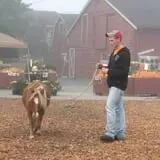 Craven Farm photo