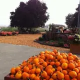 Craven Farm photo