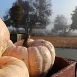 Craven Farm photo