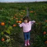 Craven Farm photo