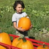 Craven Farm photo