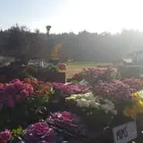 Craven Farm photo