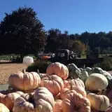 Craven Farm photo