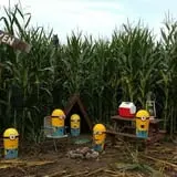 Craven Farm photo