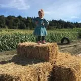 Craven Farm photo