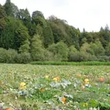Craven Farm photo