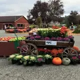 Craven Farm photo