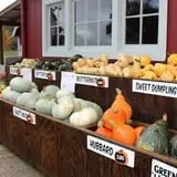 Craven Farm photo