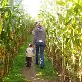 Szalay's Farm Corn Maze photo