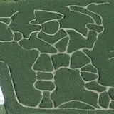 Szalay's Farm Corn Maze photo