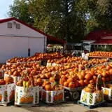 Szalay's Farm Corn Maze photo