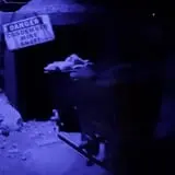 Haunted World photo