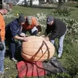 Pierce's Pumpkin Patch photo
