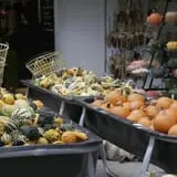 Pierce's Pumpkin Patch photo