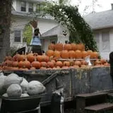 Pierce's Pumpkin Patch photo