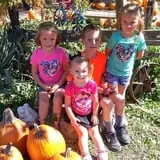 Pierce's Pumpkin Patch photo