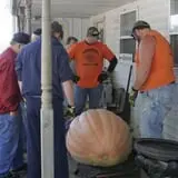 Pierce's Pumpkin Patch photo