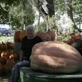 Pierce's Pumpkin Patch photo