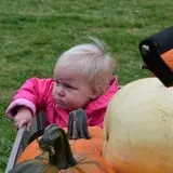 Pierce's Pumpkin Patch photo