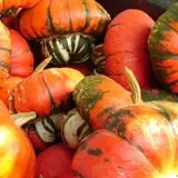 Pierce's Pumpkin Patch photo