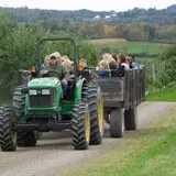 Bellinger's Orchard photo