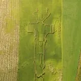 Bellinger's Orchard photo
