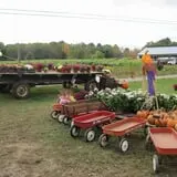 Fletcher Family Farm Pumpkin Patch & Hayride photo