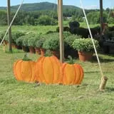 Fletcher Family Farm Pumpkin Patch & Hayride photo