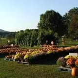 Fletcher Family Farm Pumpkin Patch & Hayride photo
