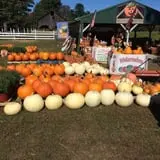 Fletcher Family Farm Pumpkin Patch & Hayride photo