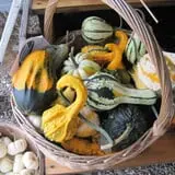 Fletcher Family Farm Pumpkin Patch & Hayride photo