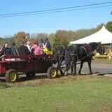 Fletcher Family Farm Pumpkin Patch & Hayride photo