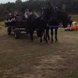Fletcher Family Farm Pumpkin Patch & Hayride photo
