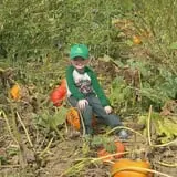 Fletcher Family Farm Pumpkin Patch & Hayride photo