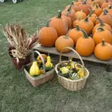 Fletcher Family Farm Pumpkin Patch & Hayride photo