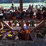 Fletcher Family Farm Pumpkin Patch & Hayride photo