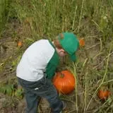 Fletcher Family Farm Pumpkin Patch & Hayride photo