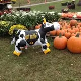 Fletcher Family Farm Pumpkin Patch & Hayride photo