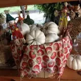 Fletcher Family Farm Pumpkin Patch & Hayride photo