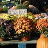 Fletcher Family Farm Pumpkin Patch & Hayride photo