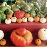 Fletcher Family Farm Pumpkin Patch & Hayride photo