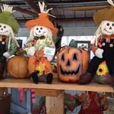 Fletcher Family Farm Pumpkin Patch & Hayride photo