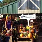 Fletcher Family Farm Pumpkin Patch & Hayride photo