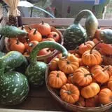 Fletcher Family Farm Pumpkin Patch & Hayride photo