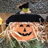 Fletcher Family Farm Pumpkin Patch & Hayride photo