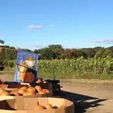 Fletcher Family Farm Pumpkin Patch & Hayride photo