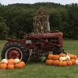 Winslow Farms Pumpkin Patch photo