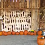 Winslow Farms Pumpkin Patch photo
