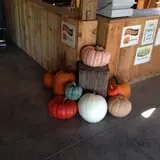 Winslow Farms Pumpkin Patch photo